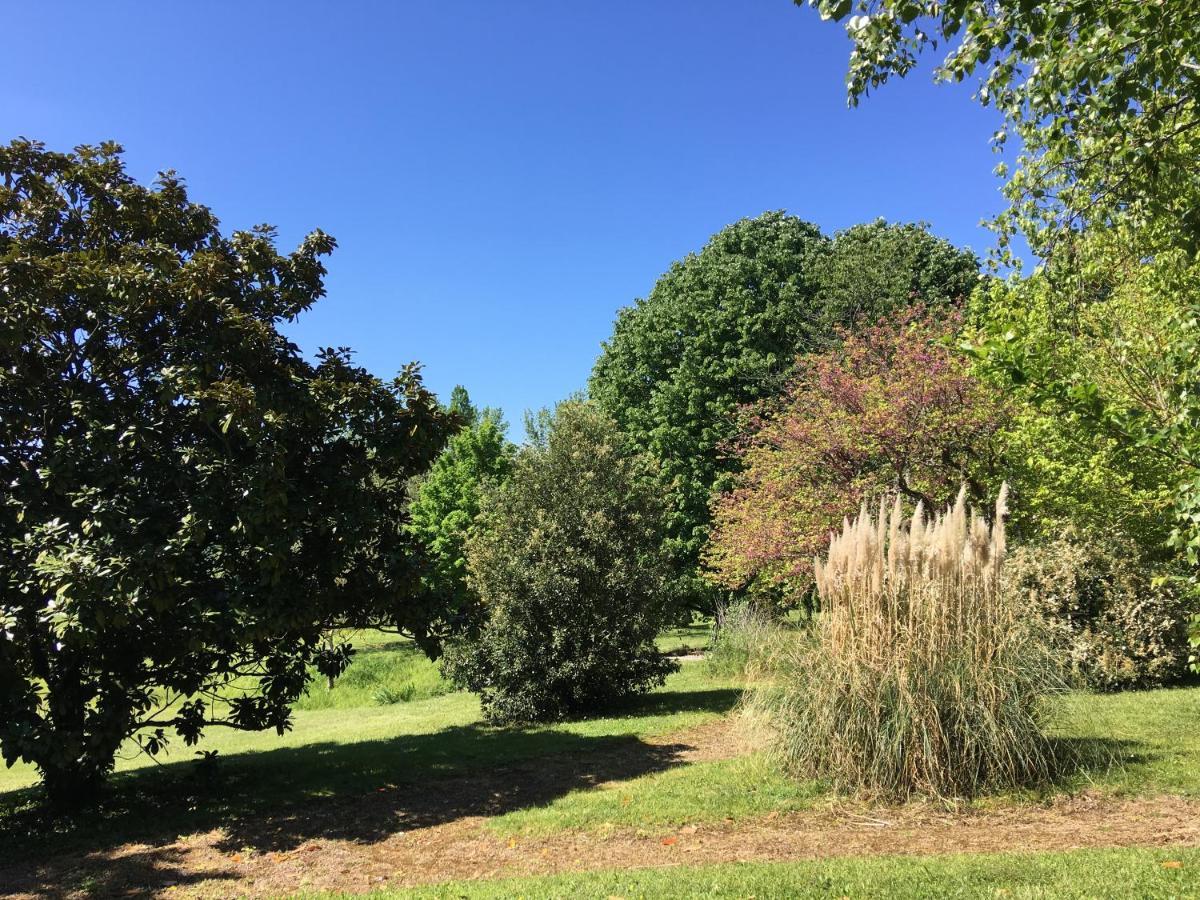 Au Bonheur Dupre B&B Montoire-sur-le-Loir Екстериор снимка