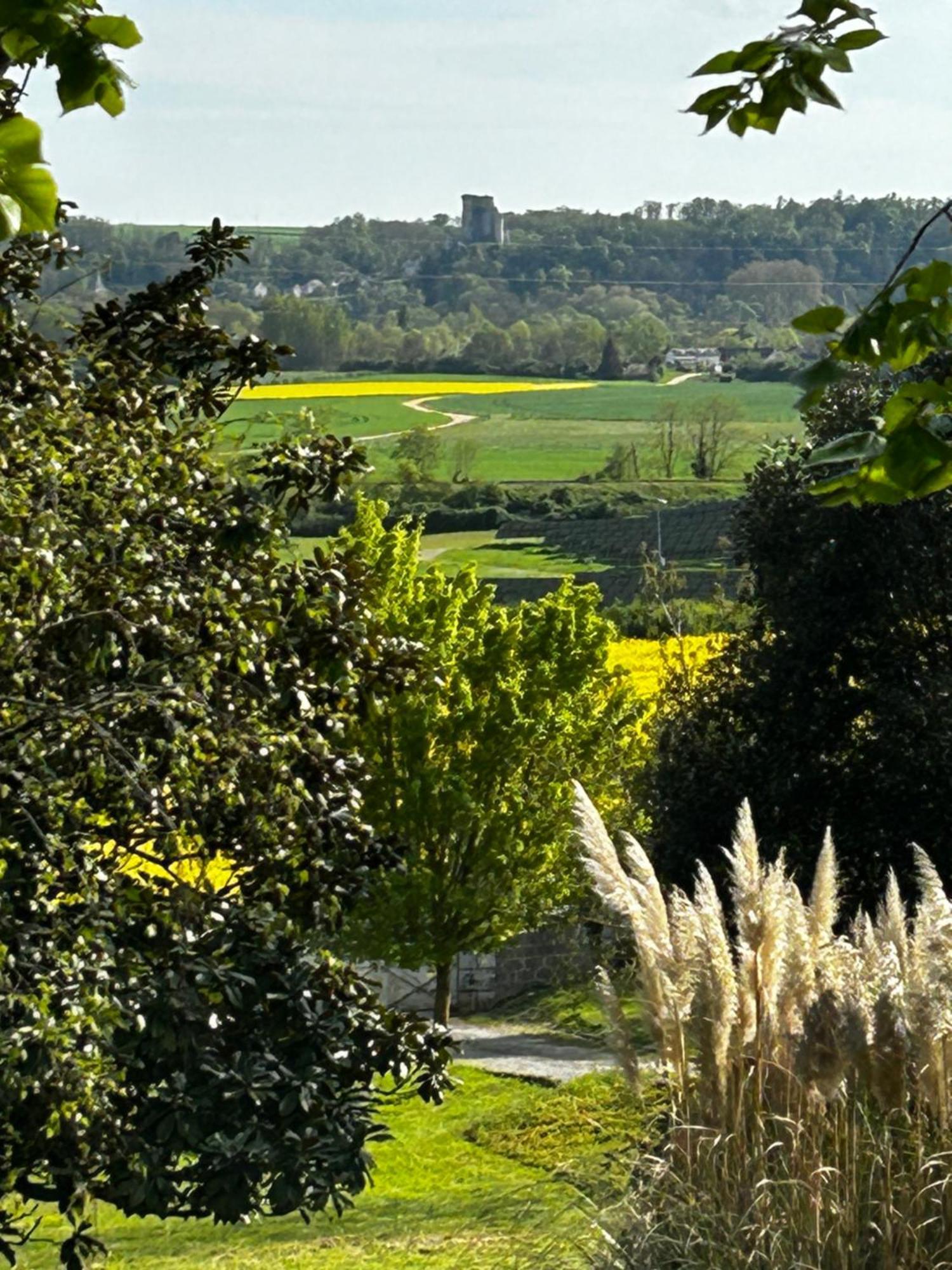 Au Bonheur Dupre B&B Montoire-sur-le-Loir Екстериор снимка