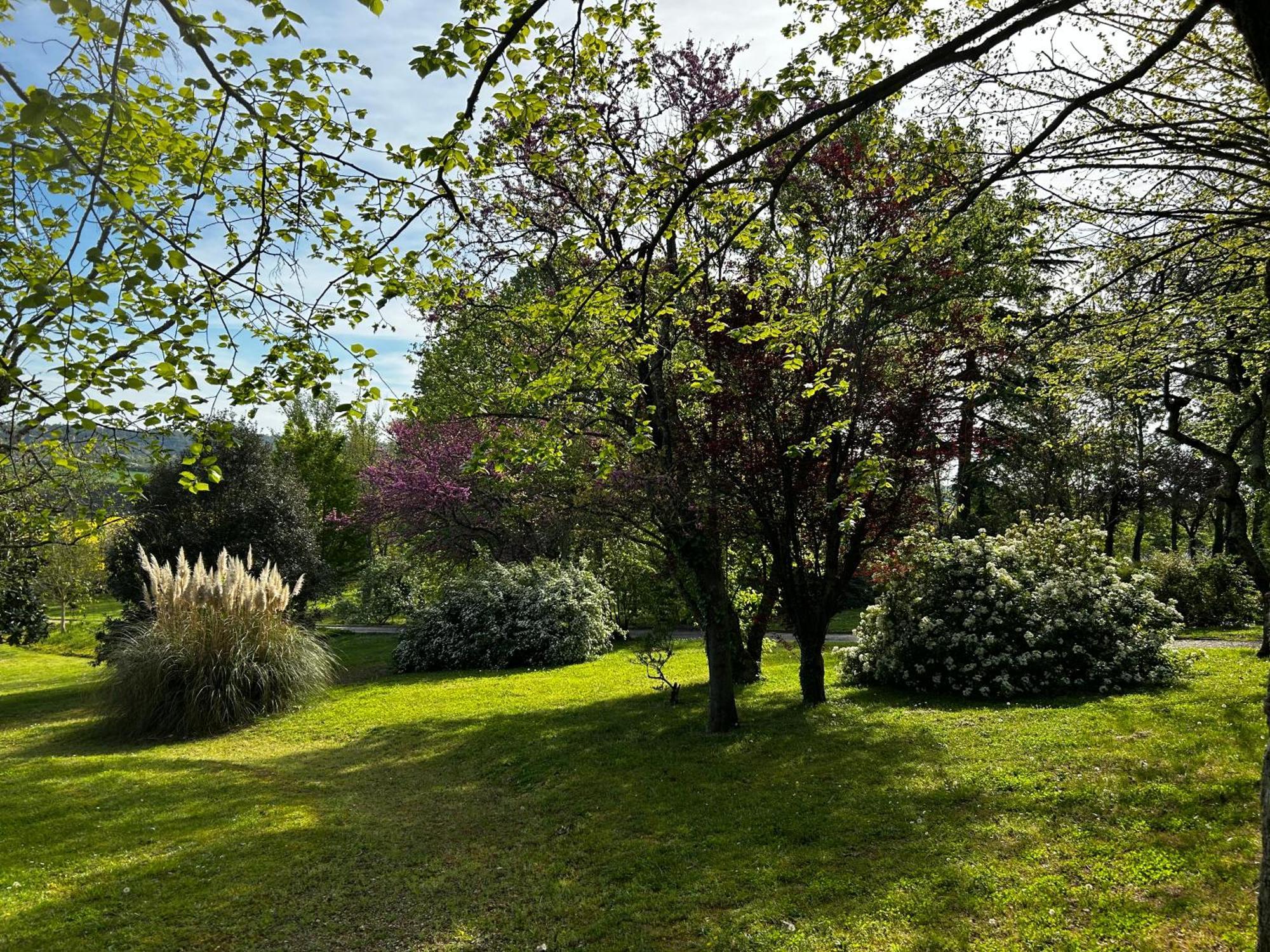 Au Bonheur Dupre B&B Montoire-sur-le-Loir Екстериор снимка